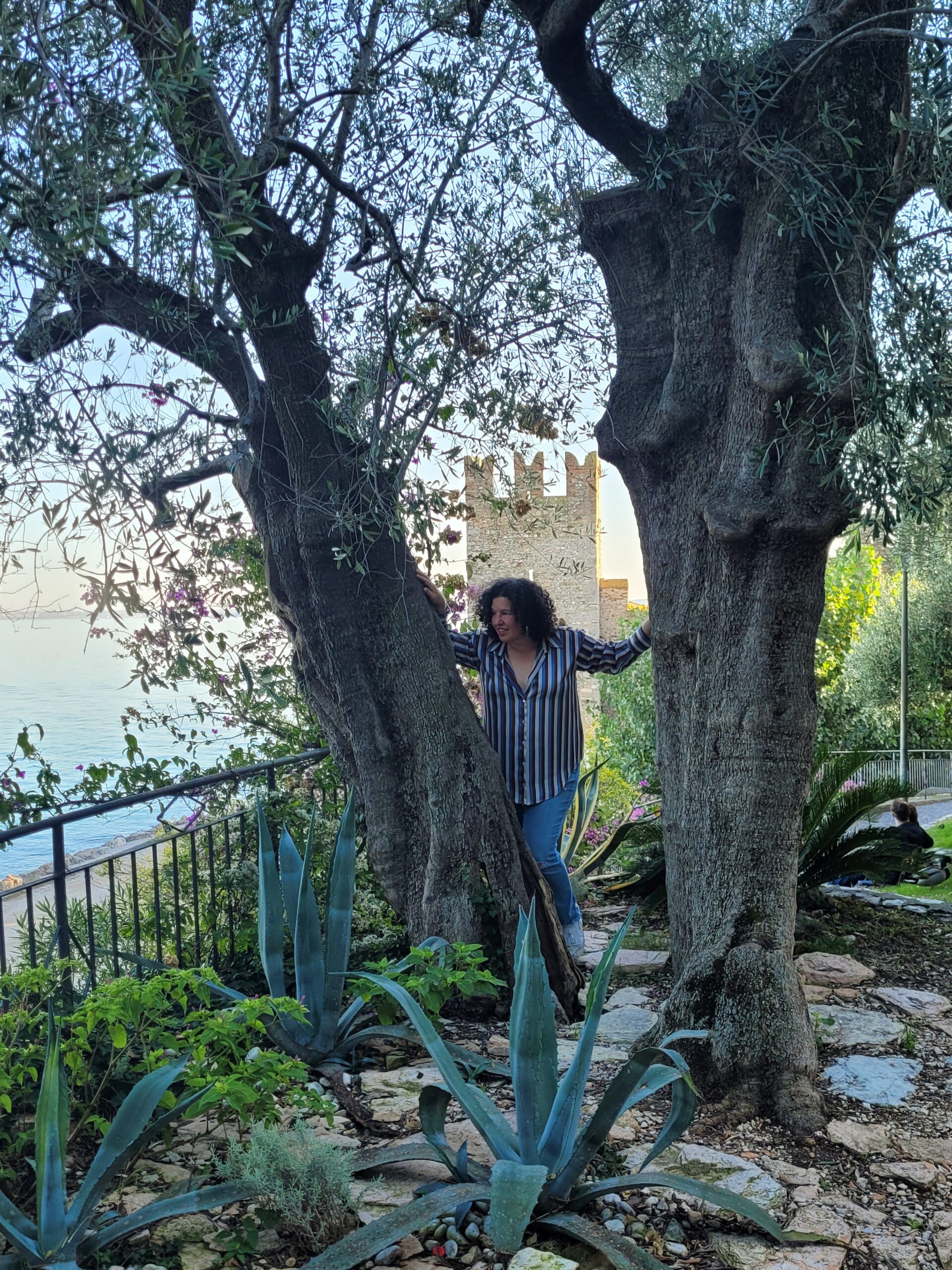 Verona and Sirmione-2
